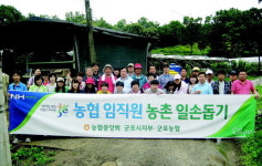 농협 군포시지부·군포농협 농촌 일손돕기