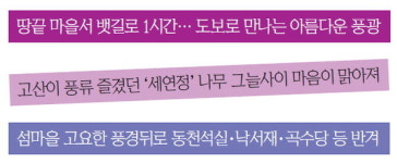 [이야기가 있는 길]孤山 윤선도, 그가 사랑한 섬 '보길도'