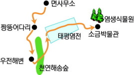 [이야기가 있는 길]시간도 쉬어 가는 길-증도 모실길