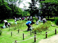 연수1동 주민센터, 청소년 봉사학교 운영