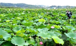 [新 휴먼로드·28]자연과 사람을 배려한 의왕누리길