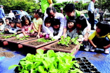 연수구 녹색생활 상자텃밭 2000여개 분양