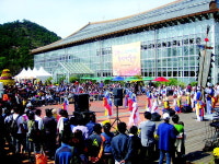 들국화와 추억만들기 축제 1만5천명 다녀가