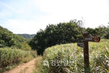 [송수복과 함께 전철로 가는 산행]검단산