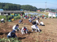 캐고 따고… 맛보고 즐기고, 오감만족 농촌체험 떠나요