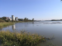 [가볼만한 경기도내 저수지·3]화성 보통저수지