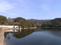 [가볼만한 경기도내 저수지·10]안성 금광저수지