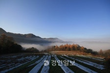 [송수복과 떠나는 즐거운 산행]강원 평창 금당산