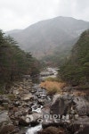 이야기가 있는 길 / 시인 묵객들 노닐던 강원 동해시 무릉계곡