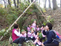 직접 가꾼 숲에서 산림휴양