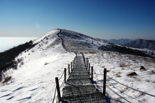 [송수복과 떠나는 즐거운 산행]경북 영주, 충북 단양 소백산