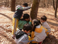푸른 숲 뛰놀며 동심 무럭무럭