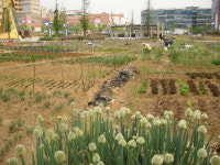 흥덕지구 상업용지 용도변경 해달라