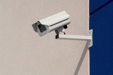 마음 푹 놓고 산책 즐기세요