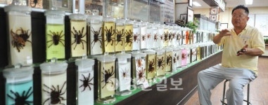 [아트브리지 플러스·9]남양주 주필거미박물관