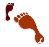 [희망을 꿈꾸는 DMZ·10] 분단 현실을 느끼는 평화누리길 2-파주구간