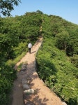 [희망을 꿈꾸는 DMZ·11]분단현실을 느끼는 평화누리길 3-고양·김포구간