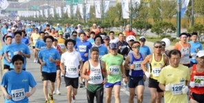 [2012 평택항 마라톤]가슴까지 시원한 바다내음… 서해를 품고 가을을 달리다