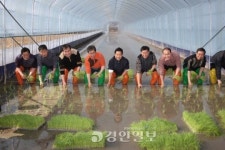 이천 안평리서 전국 첫 모내기
