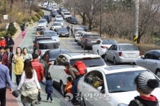 팔달산 가는길 불법주차 공해