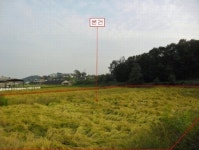 이 경매물건 어때요?