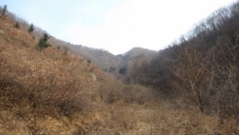 이 경매물건 어때요?
