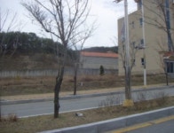 이 경매물건 어때요?