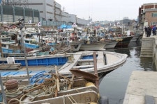 화수부두서 10일 오후 2시 수산물 직매장 열려