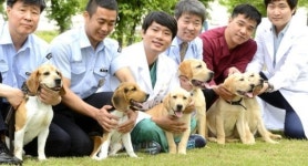 농진청, 특수목적견 복제 성공