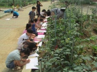 수원고색초 학교농장용 체험장 조성