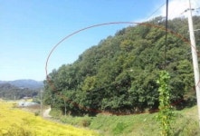 이 경매물건 어때요?