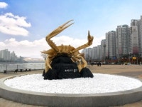 인천시 남동구, 소래포구 특산물 황금 꽃게상 등 설치