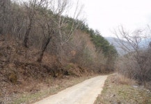 이 경매물건 어때요?