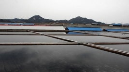 어업회사법인 조이솔트(주) | 전국 염전 양식장 일제 수색… 실종자 등 224명 발견 '체불액 12억원'