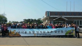 NH농협 화성지부·남서울농협 등 포도농가 돕기