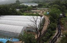 경기도 안성 금수원 공권력 투입… 경찰, 두 엄마 체포 작전 돌입