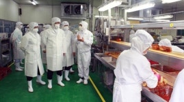 대전식약청, HACCP 적용 김치 제조업체 현장 점검