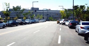 국립세종도서관 등 주변 불법 주·정차 근절