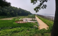 걸어서… 자전거 타며… 28㎞ 평화누리길 즐긴다
