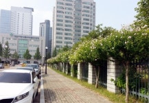 제1회 나라꽃 무궁화 명품 가로수길 공모