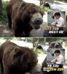 동물농장 김상중, 곰 폭행사건 내레이션… 그런데 말입니다 진지한 진행톤 폭소