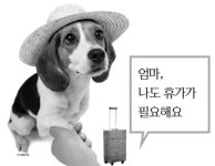 11번가, 온라인몰 최초 반려견 전용 워터파크 티켓 판매