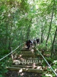 강원 홍천군 구룡령 힐링코스