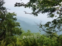 강원 홍천군 구룡령 힐링코스