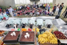 서울 마포구, 밤섬 실향민 200여명 대상으로 고향 방문 행사 개최