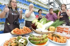 정원만들기 달인 김치만들기 체험