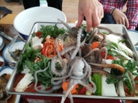 [맛집을 찾아서]평택 장흥낙지요리·물회전문점