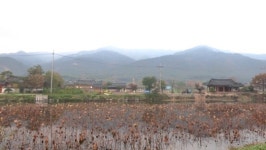 다큐3일, 경주 남산 탑마을 조명… 천년의 세월과 숨쉬며 살아가는 72시간