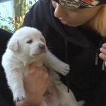 헬로 이방인 강남, 개미남 등극… 강아지와 환상의 케미