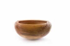 쓰러진 나무, 새로운 생명을 얻다